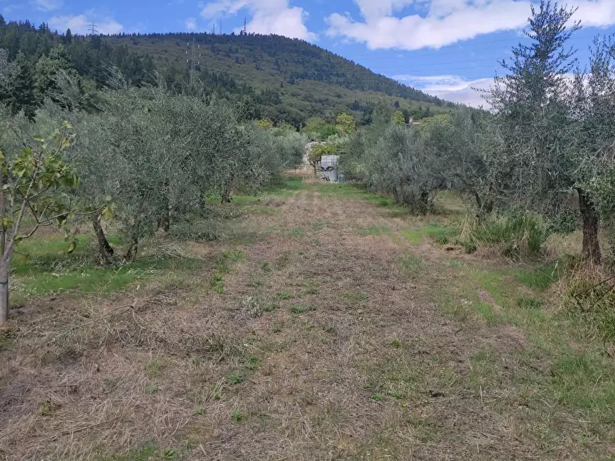 Immagine 32 di Terreno agricolo in vendita  a Sesto Fiorentino
