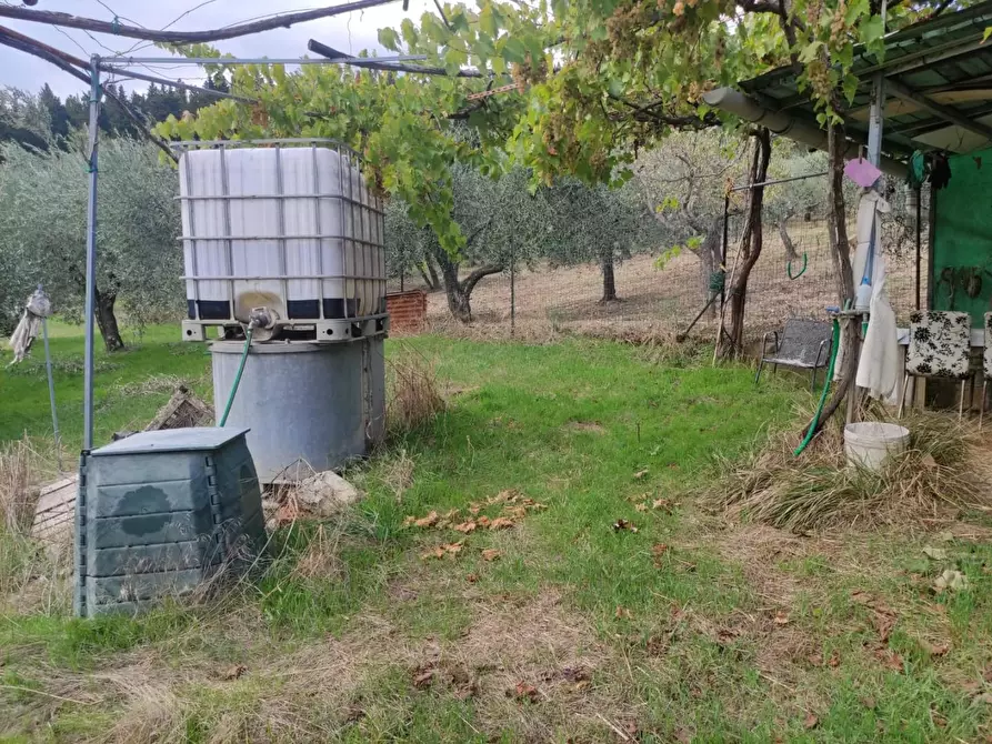 Immagine 23 di Terreno agricolo in vendita  a Sesto Fiorentino