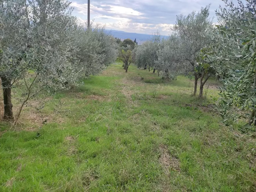 Immagine 20 di Terreno agricolo in vendita  a Sesto Fiorentino