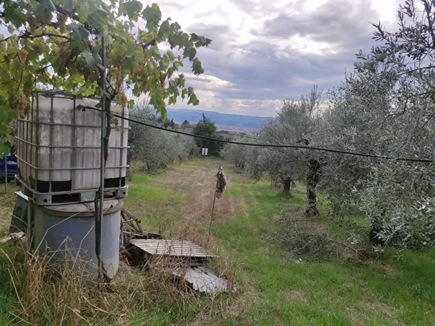 Immagine 22 di Terreno agricolo in vendita  a Sesto Fiorentino