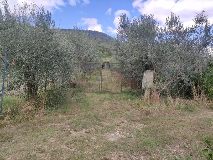 Immagine 31 di Terreno agricolo in vendita  a Sesto Fiorentino