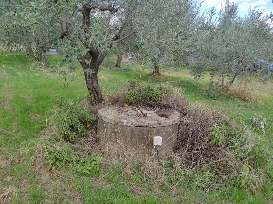 Immagine 8 di Terreno agricolo in vendita  a Sesto Fiorentino