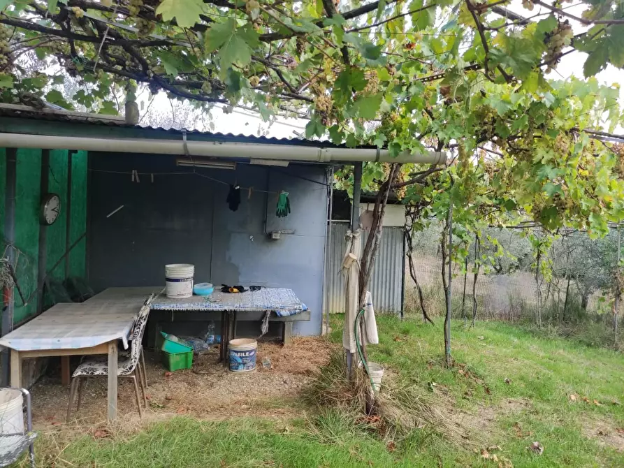 Immagine 21 di Terreno agricolo in vendita  a Sesto Fiorentino