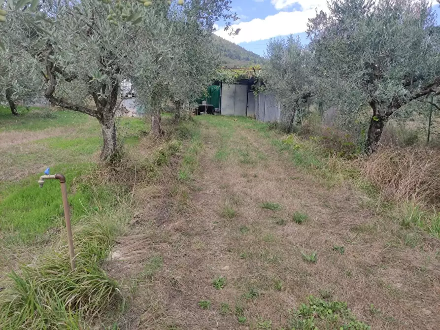 Immagine 30 di Terreno agricolo in vendita  a Sesto Fiorentino