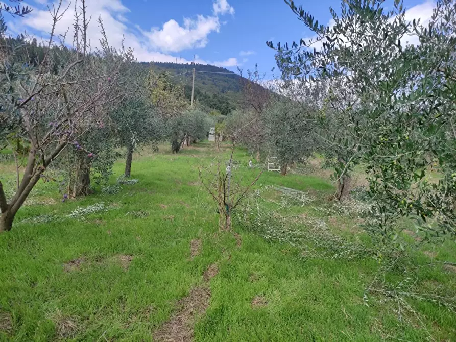 Immagine 12 di Terreno agricolo in vendita  a Sesto Fiorentino