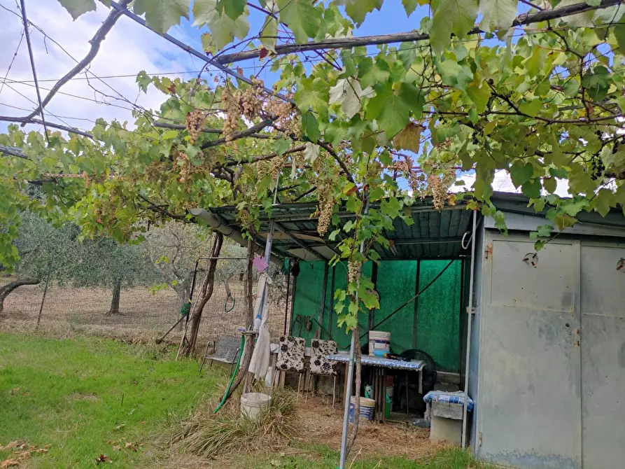 Immagine 26 di Terreno agricolo in vendita  a Sesto Fiorentino
