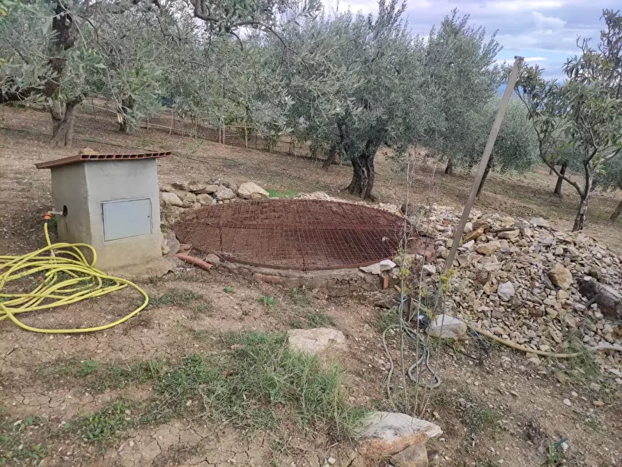 Immagine 17 di Terreno agricolo in vendita  a Sesto Fiorentino