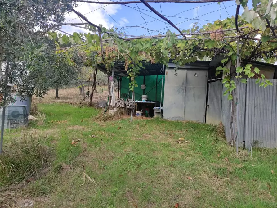 Immagine 27 di Terreno agricolo in vendita  a Sesto Fiorentino