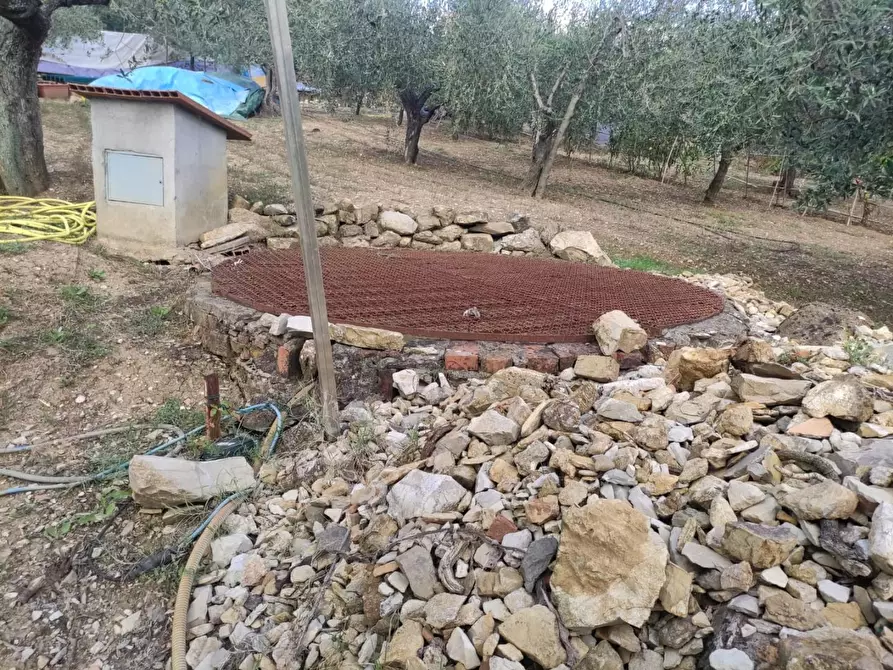 Immagine 19 di Terreno agricolo in vendita  a Sesto Fiorentino