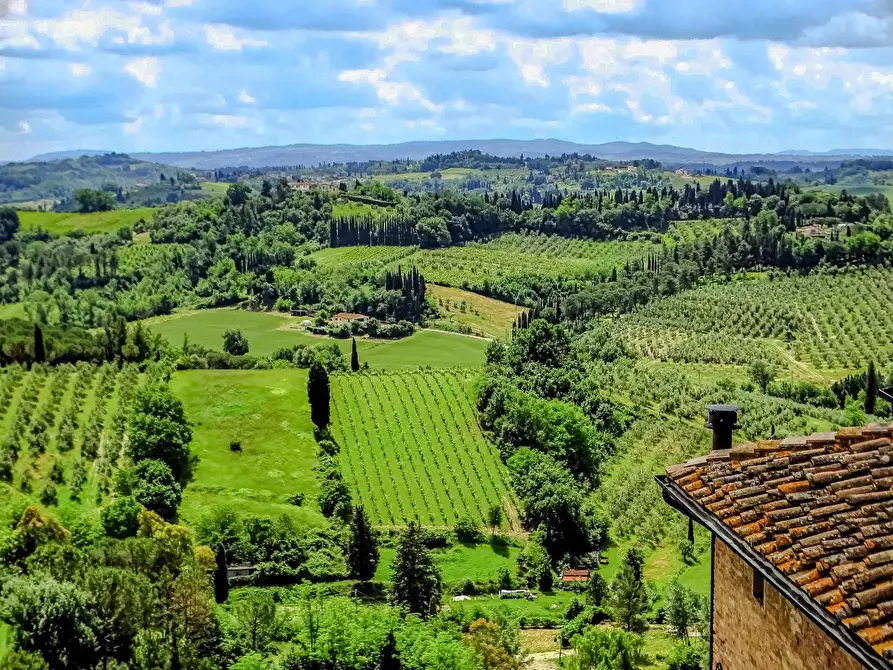 Immagine 35 di Palazzo in vendita  a San Miniato