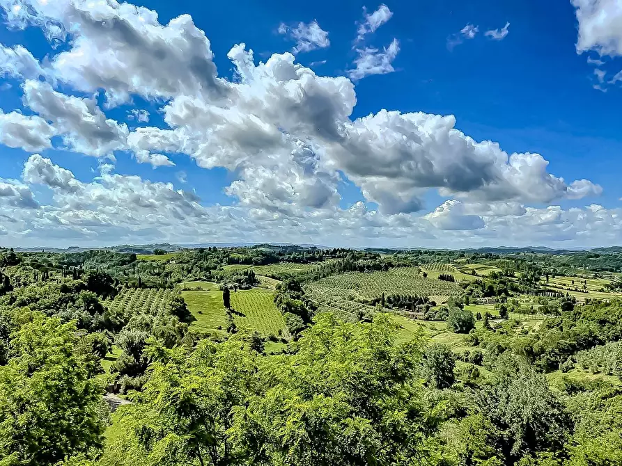 Immagine 40 di Palazzo in vendita  a San Miniato