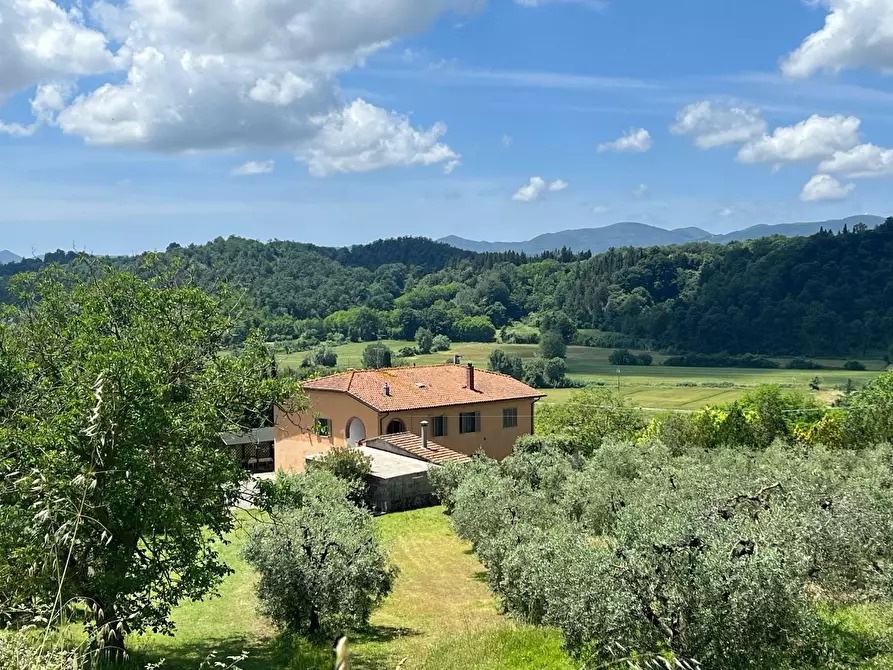 Immagine 1 di Casa colonica in vendita  a Crespina Lorenzana