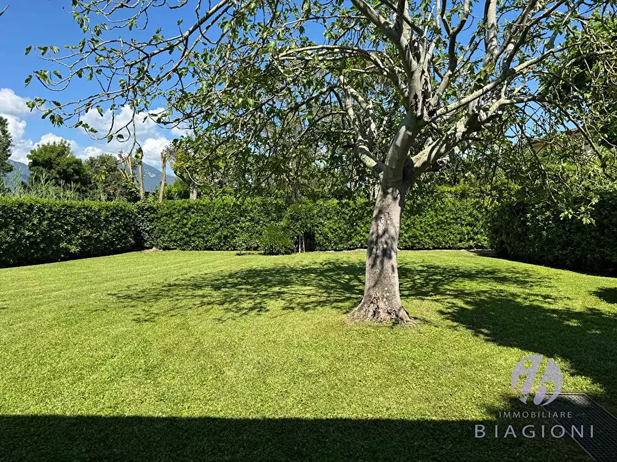 Immagine 33 di Villa in vendita  a Pietrasanta