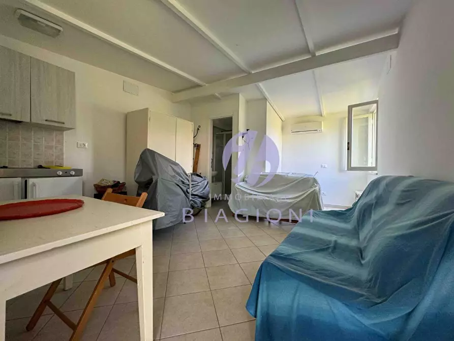 Immagine 37 di Villa in vendita  a Pietrasanta