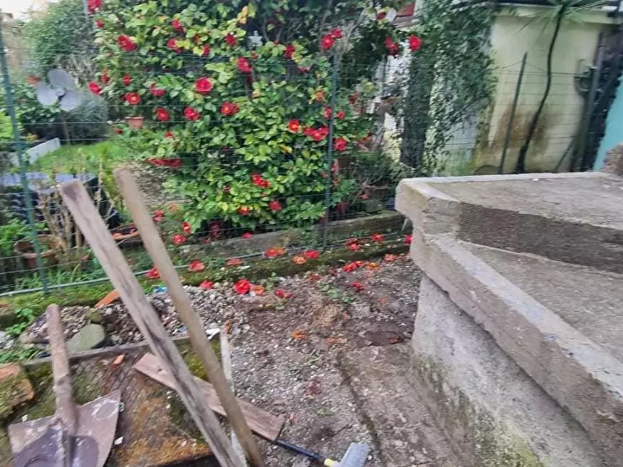 Immagine 27 di Terratetto in vendita  a Massa