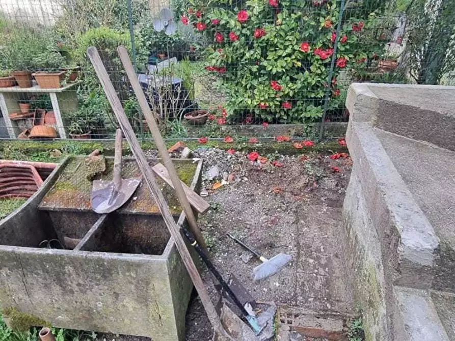 Immagine 28 di Terratetto in vendita  a Massa