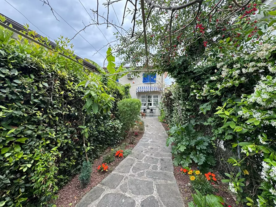 Immagine 16 di Casa indipendente in affitto  a Forte Dei Marmi