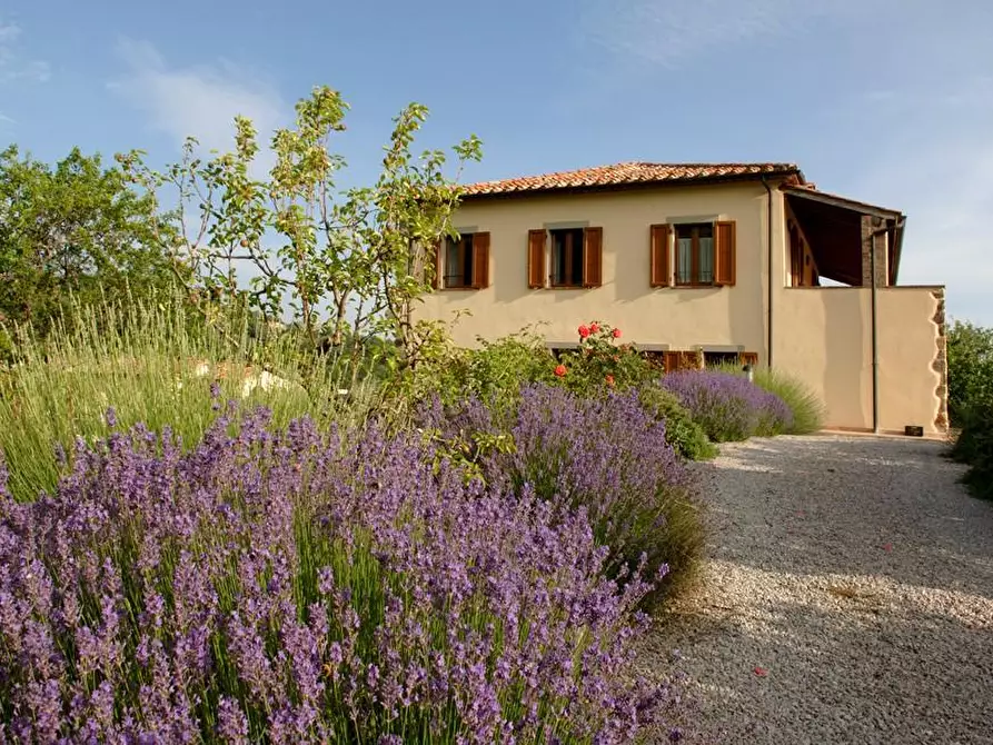 Immagine 51 di Rustico / casale in vendita  a Arcidosso