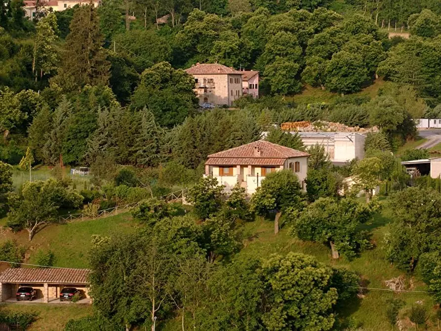 Immagine 43 di Rustico / casale in vendita  a Arcidosso