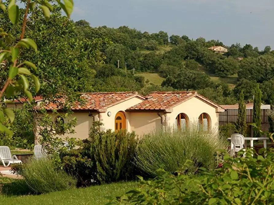 Immagine 52 di Rustico / casale in vendita  a Arcidosso