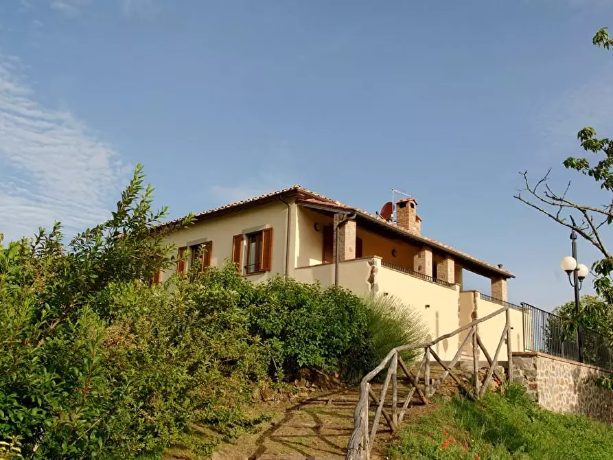 Immagine 50 di Rustico / casale in vendita  a Arcidosso