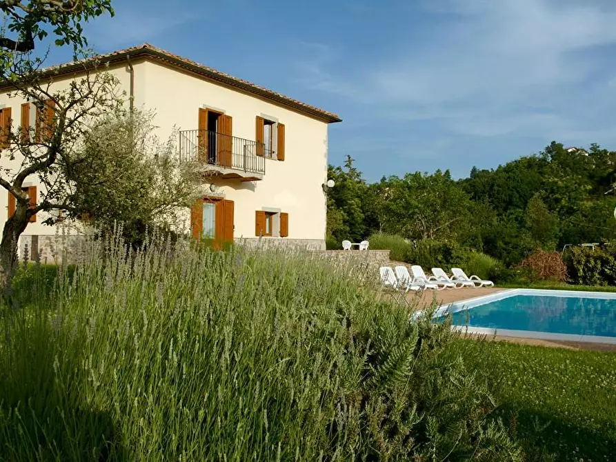 Immagine 37 di Rustico / casale in vendita  a Arcidosso