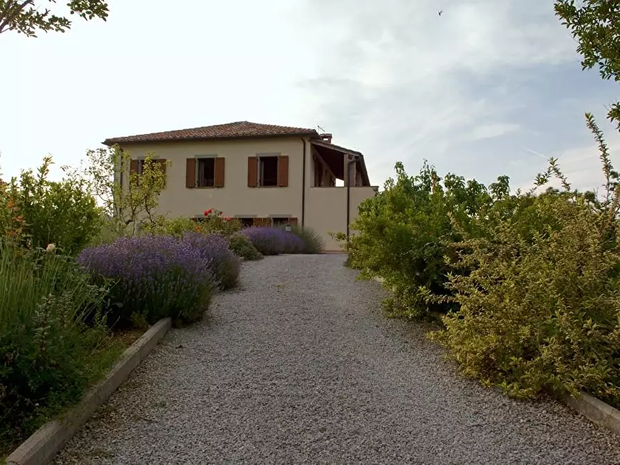 Immagine 39 di Rustico / casale in vendita  a Arcidosso