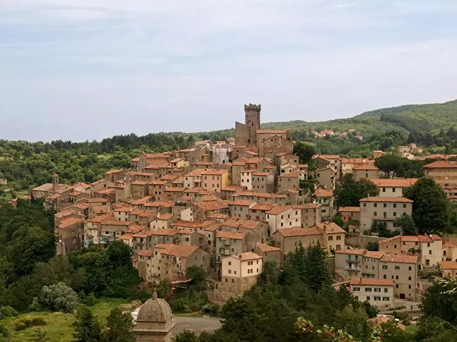 Immagine 20 di Rustico / casale in vendita  a Arcidosso
