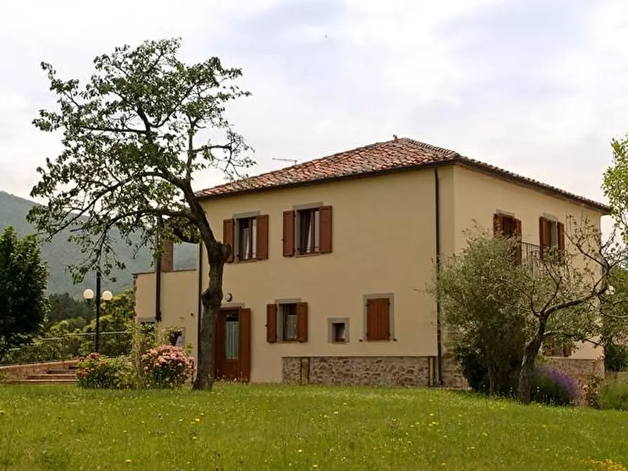 Immagine 62 di Rustico / casale in vendita  a Arcidosso