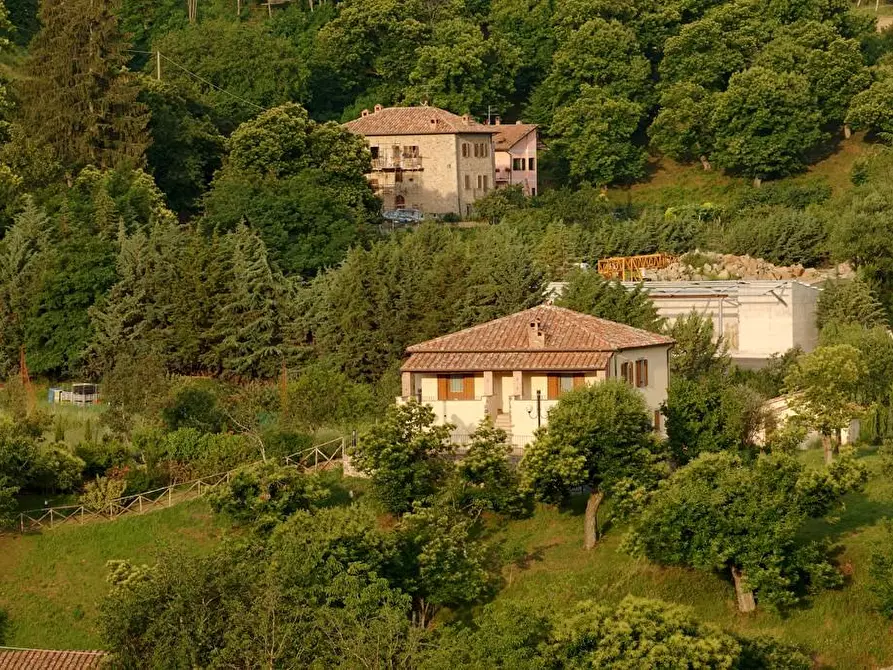 Immagine 42 di Rustico / casale in vendita  a Arcidosso