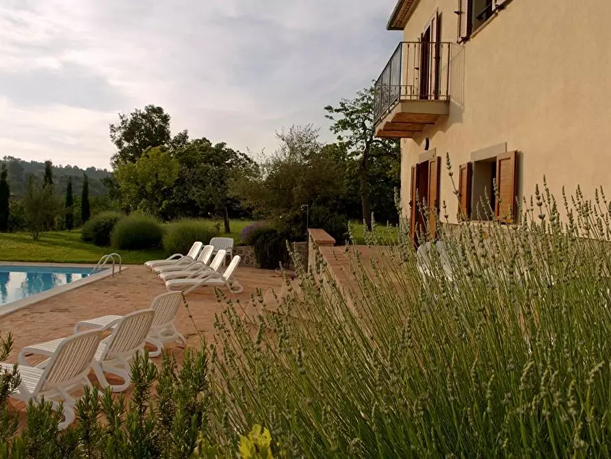 Immagine 41 di Rustico / casale in vendita  a Arcidosso