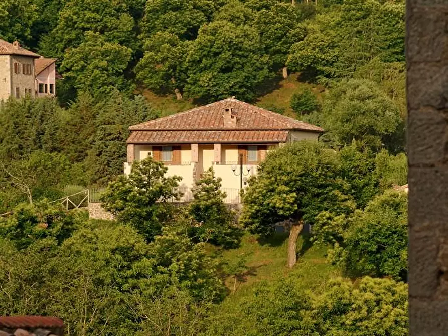 Immagine 44 di Rustico / casale in vendita  a Arcidosso