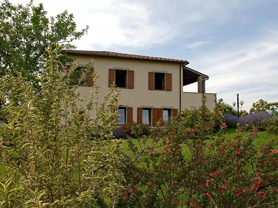 Immagine 40 di Rustico / casale in vendita  a Arcidosso