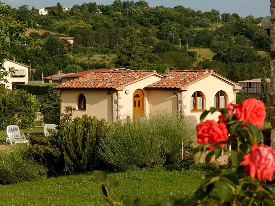 Immagine 53 di Rustico / casale in vendita  a Arcidosso