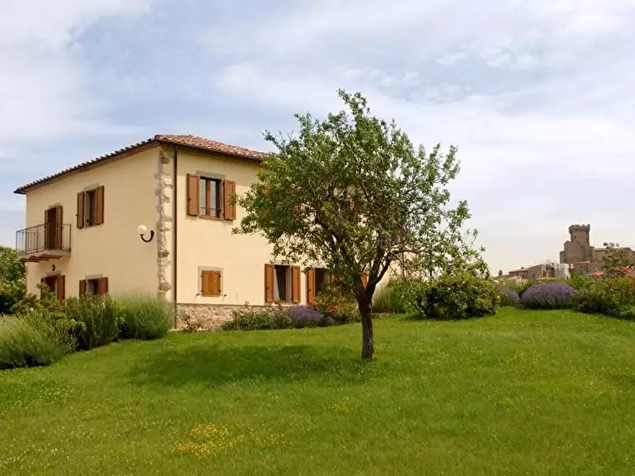 Immagine 65 di Rustico / casale in vendita  a Arcidosso