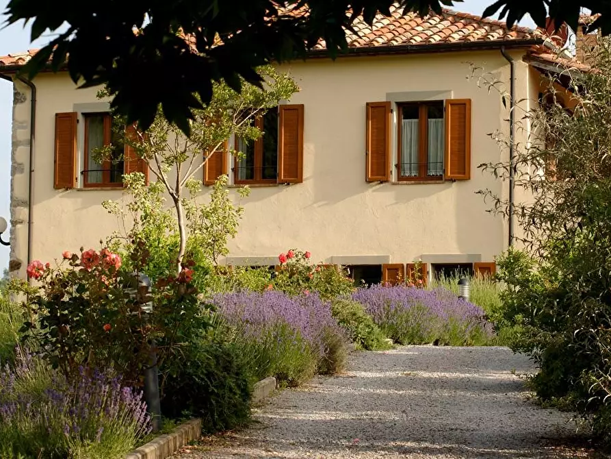 Immagine 47 di Rustico / casale in vendita  a Arcidosso