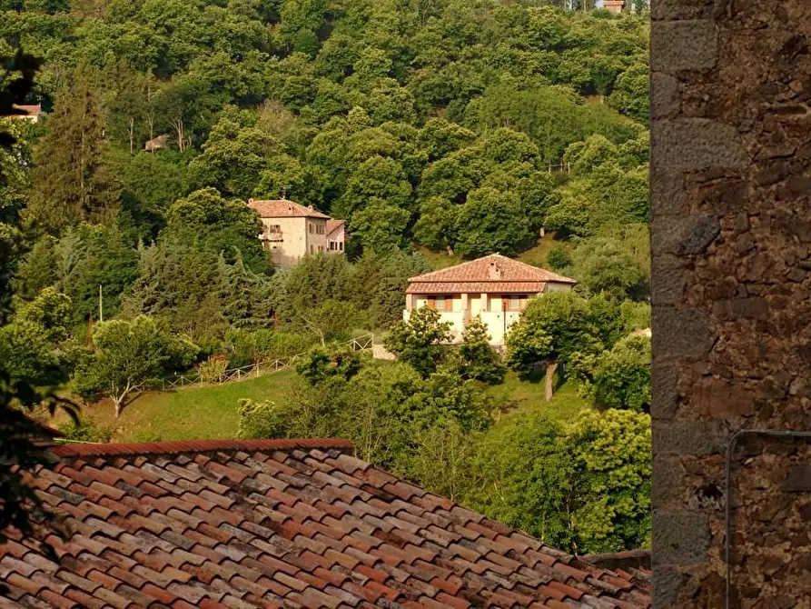 Immagine 45 di Rustico / casale in vendita  a Arcidosso