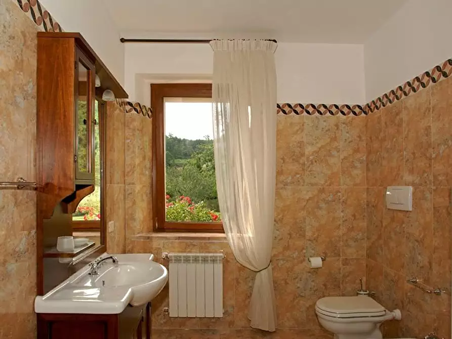 Immagine 9 di Rustico / casale in vendita  a Arcidosso