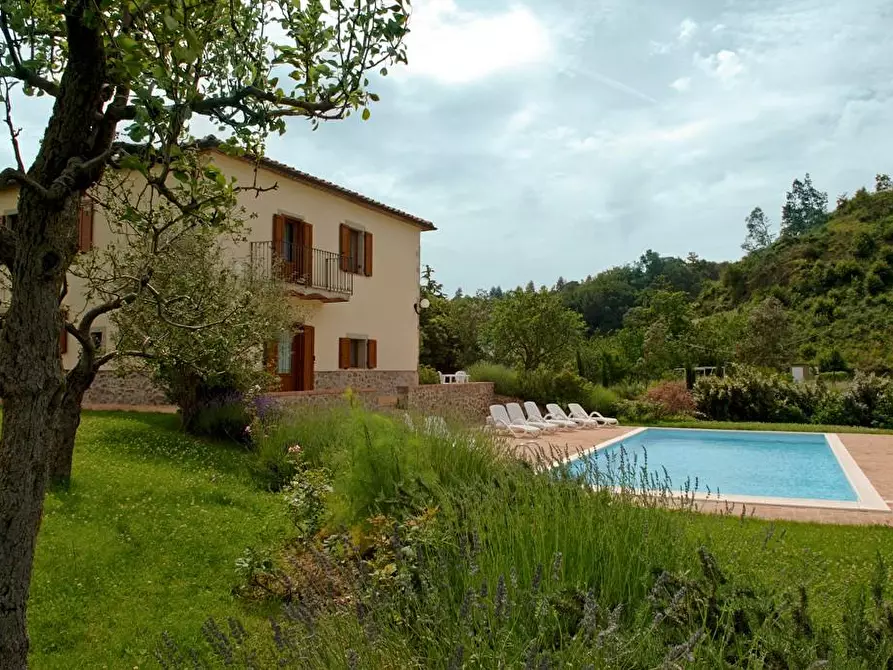 Immagine 60 di Rustico / casale in vendita  a Arcidosso