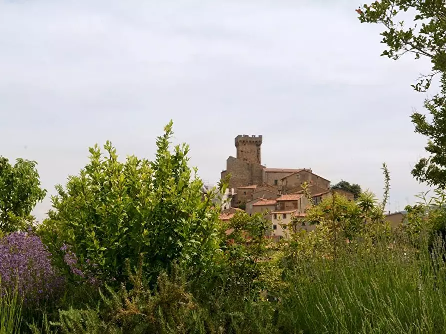 Immagine 6 di Rustico / casale in vendita  a Arcidosso