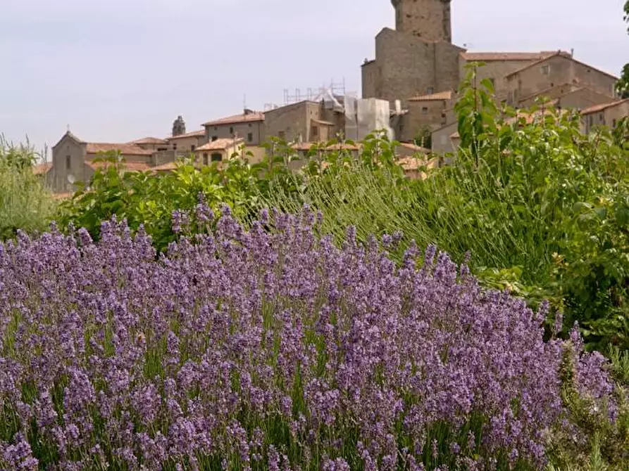 Immagine 17 di Rustico / casale in vendita  a Arcidosso