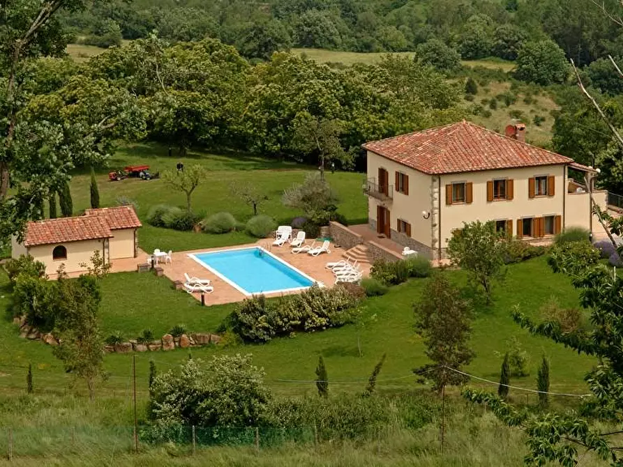 Immagine 19 di Rustico / casale in vendita  a Arcidosso