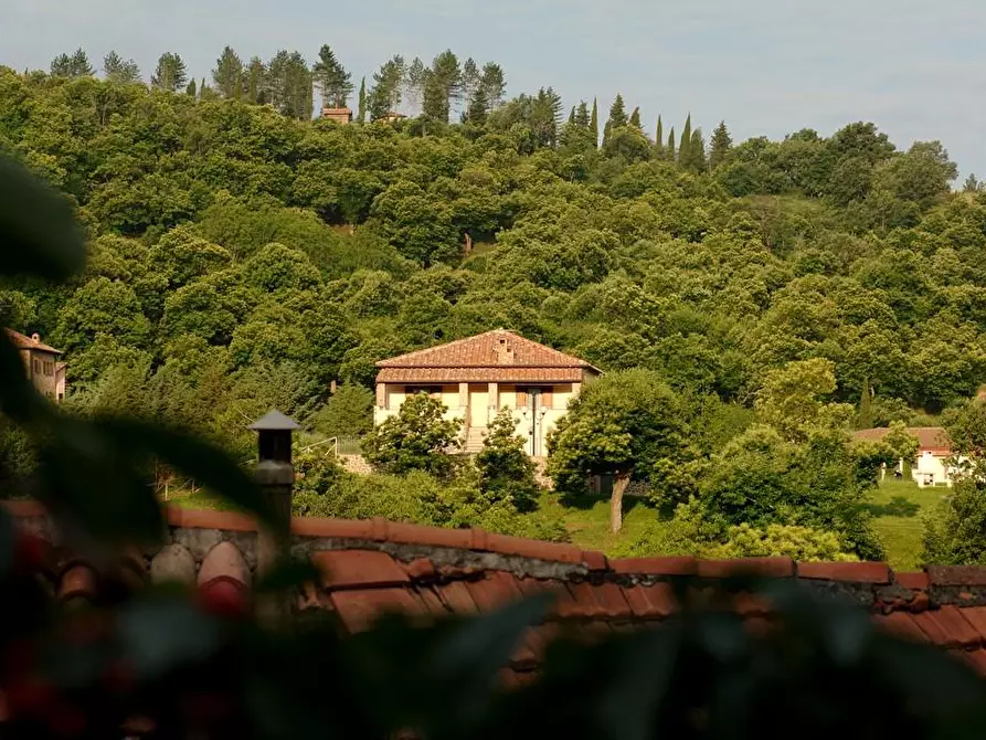 Immagine 46 di Rustico / casale in vendita  a Arcidosso
