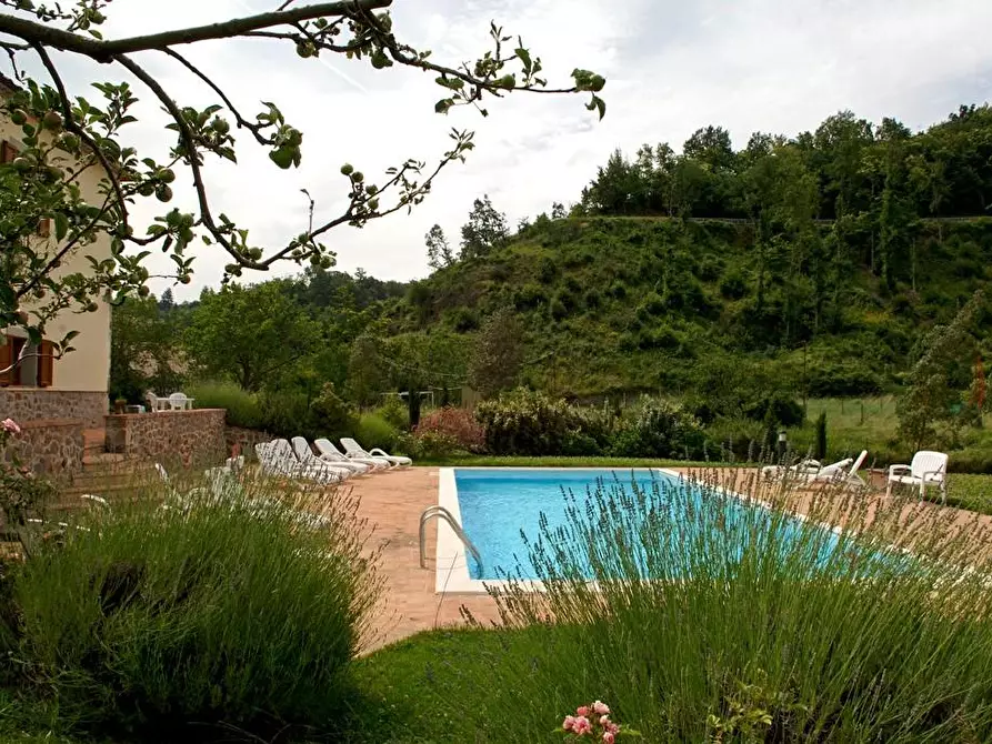 Immagine 59 di Rustico / casale in vendita  a Arcidosso