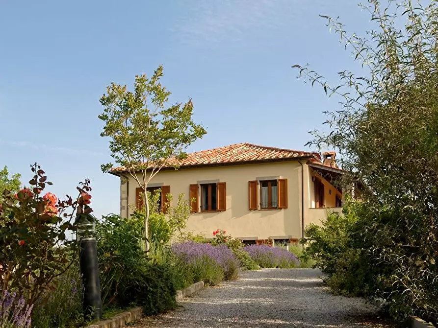 Immagine 48 di Rustico / casale in vendita  a Arcidosso