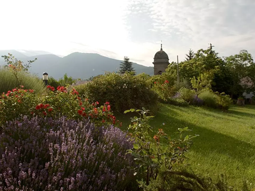 Immagine 54 di Rustico / casale in vendita  a Arcidosso