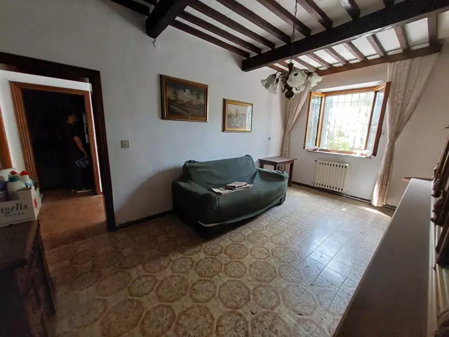 Immagine 4 di Terratetto in vendita  a Buti