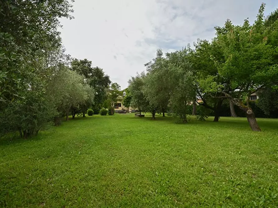 Immagine 51 di Casa bifamiliare in vendita  a Crespina Lorenzana