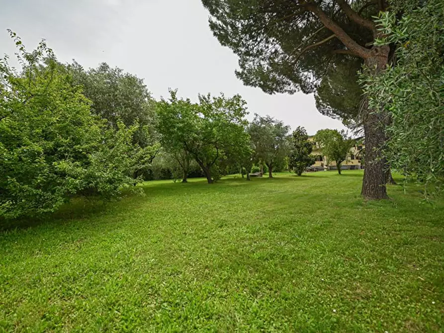 Immagine 50 di Casa bifamiliare in vendita  a Crespina Lorenzana