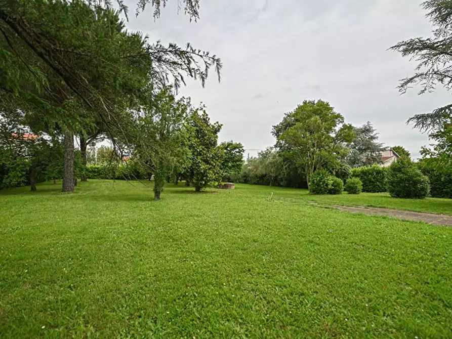 Immagine 56 di Casa bifamiliare in vendita  a Crespina Lorenzana